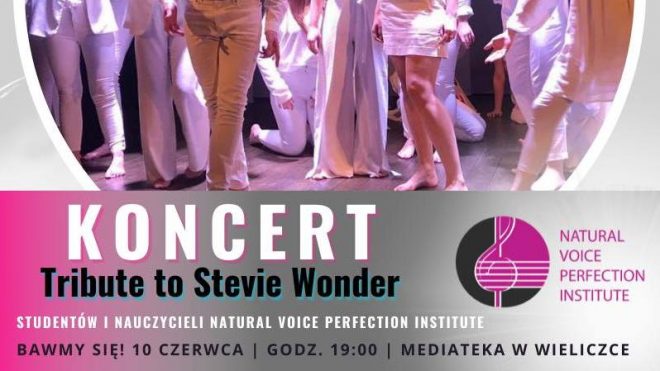 Koncert Tribute to Stevie Wonder